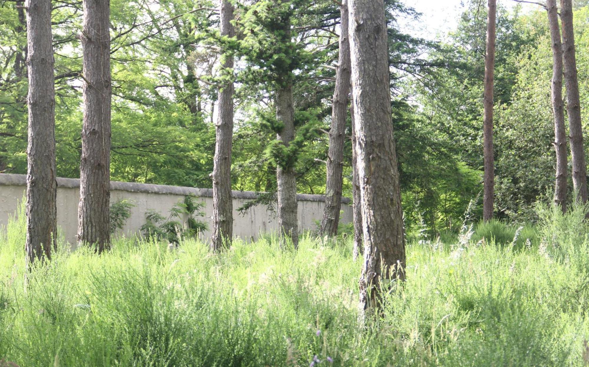 Le Refuge De Chambord Villa Thoury Exterior photo